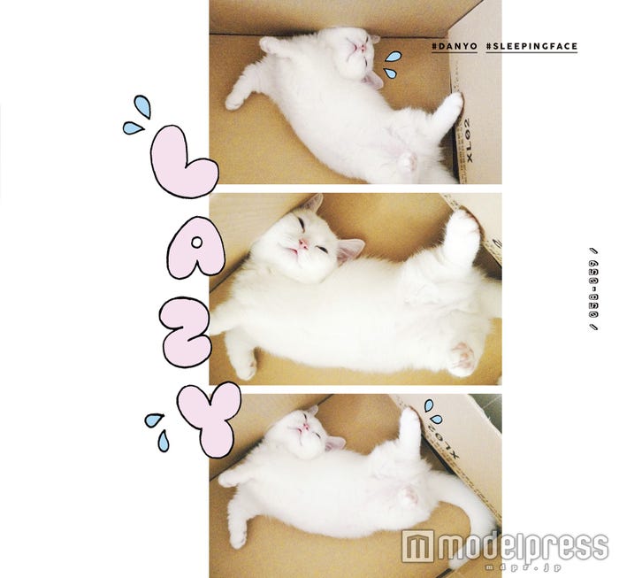 「ダニョ カワイイ #DANYO CAWAII」より(画像提供:幻冬舎)
