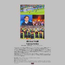 燃えるような銀/提供画像