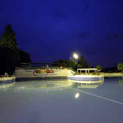 としまえん「ナイトプール」が30年ぶりに復活!“オトナの楽園”で夏の夜遊びを満喫/画像提供:株式会社豊島園