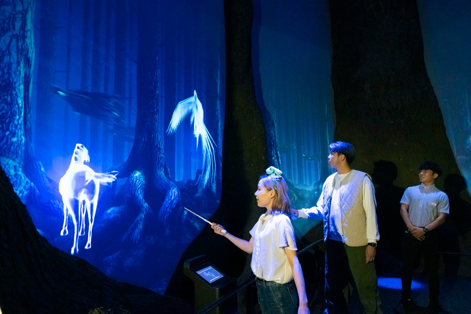 禁じられた森／提供画像