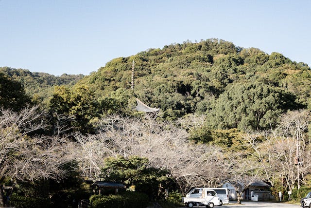 旬のフルーツが楽しめる絶品パフェは必食！「和歌山の絶景カフェ」