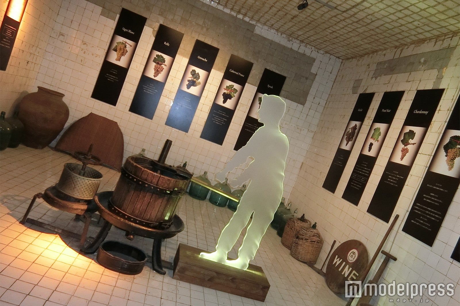 サドヤワイナリー（C）モデルプレス