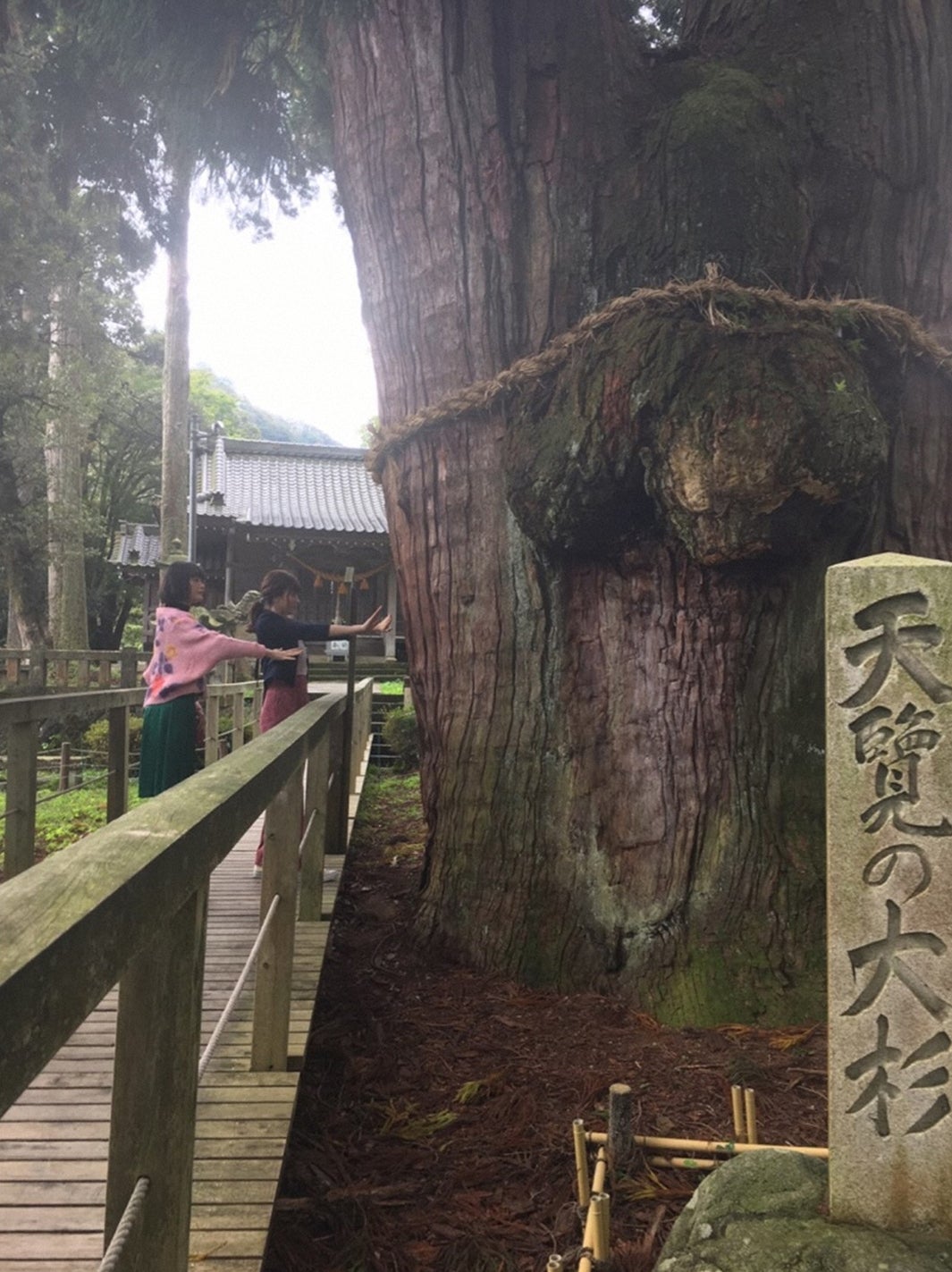 （左から）玉城ティナ、八木アリサ（C）TBS