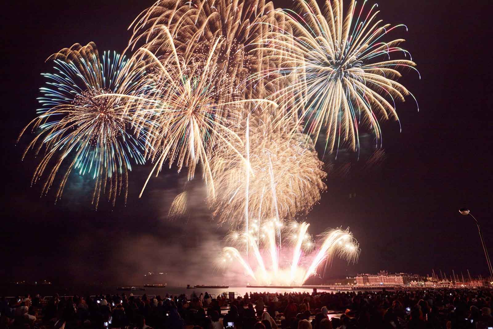 茨城県チームの花火／画像提供：ハウステンボス