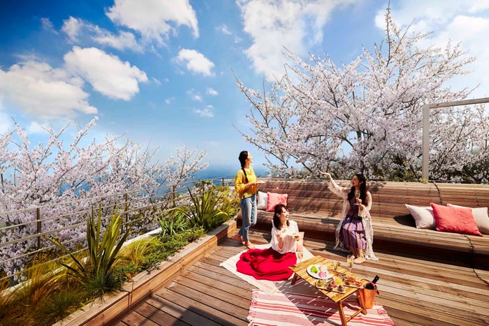 星野リゾート リゾナーレ熱海 海と桜のプライベートお花見ステイ テラスから相模湾 桜の景色を独占 女子旅プレス