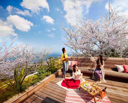 星野リゾート リゾナーレ熱海「海と桜のプライベートお花見ステイ」テラスから相模湾×桜の景色を独占
