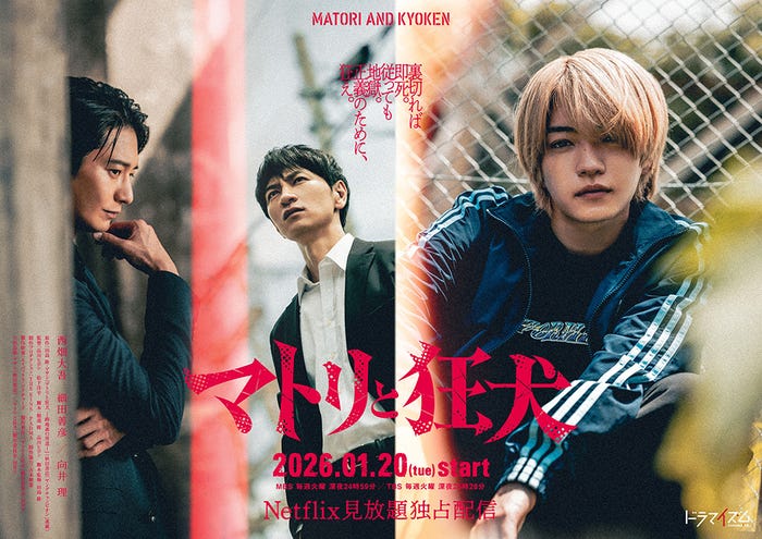 向井理、細田善彦、西畑大吾「マトリと狂犬」キービジュアル(C)田島隆・マサシ(秋田書店)/「マトリと狂犬」製作委員会・MBS