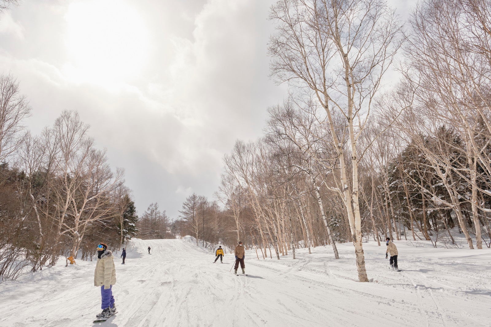 草津温泉スキー場／（一社）草津温泉観光協会