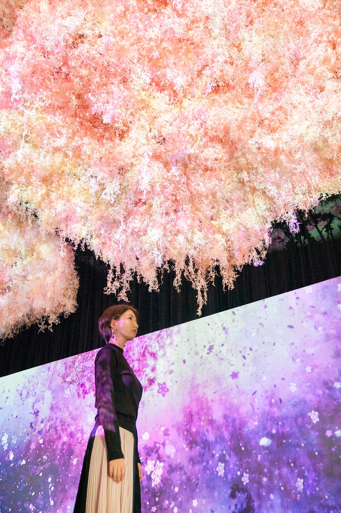 FLOWERS BY NAKED 2019 -東京・日本橋-／画像提供：ネイキッド