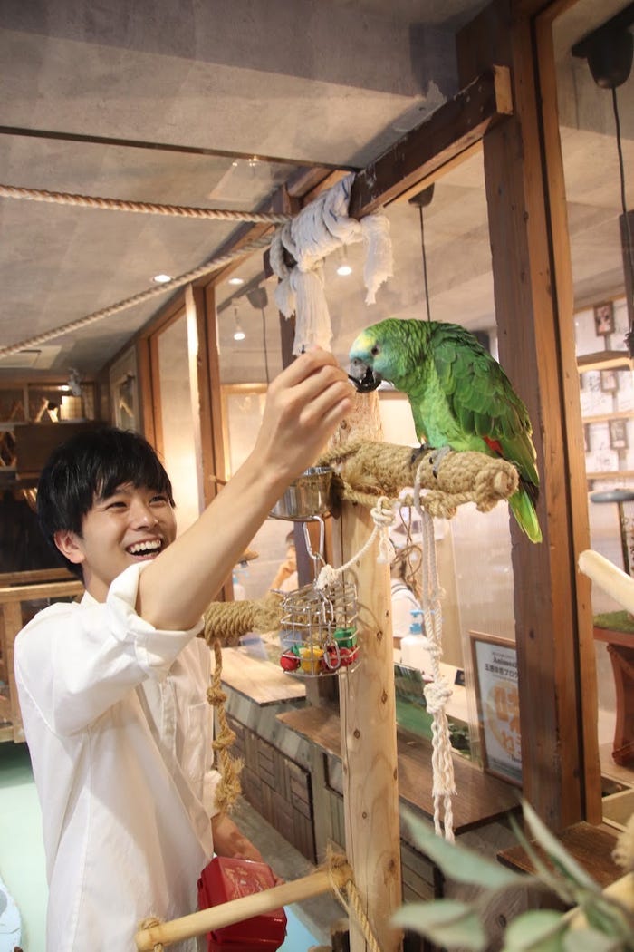 宇都宮康汰さん(提供写真)