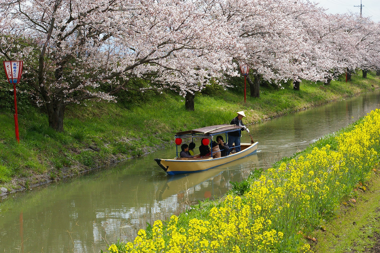 近江八幡水郷めぐり／画像提供：公益社団法人びわこビジターズビューロー