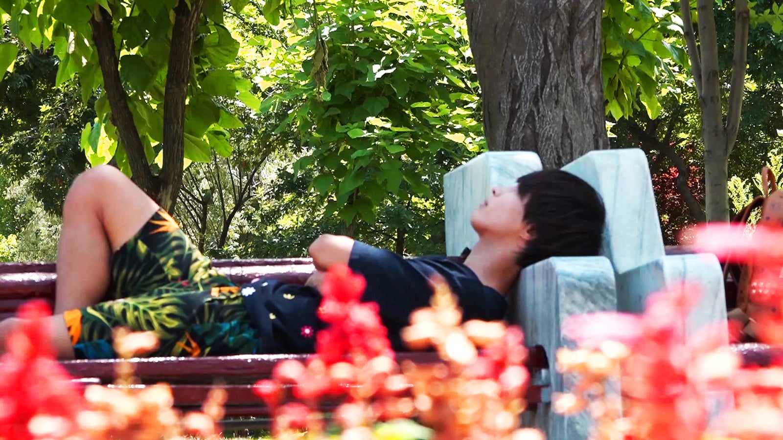 Dr.モリモリ「あいのり：Asian Journey」シーズン2第10話より（C）フジテレビ