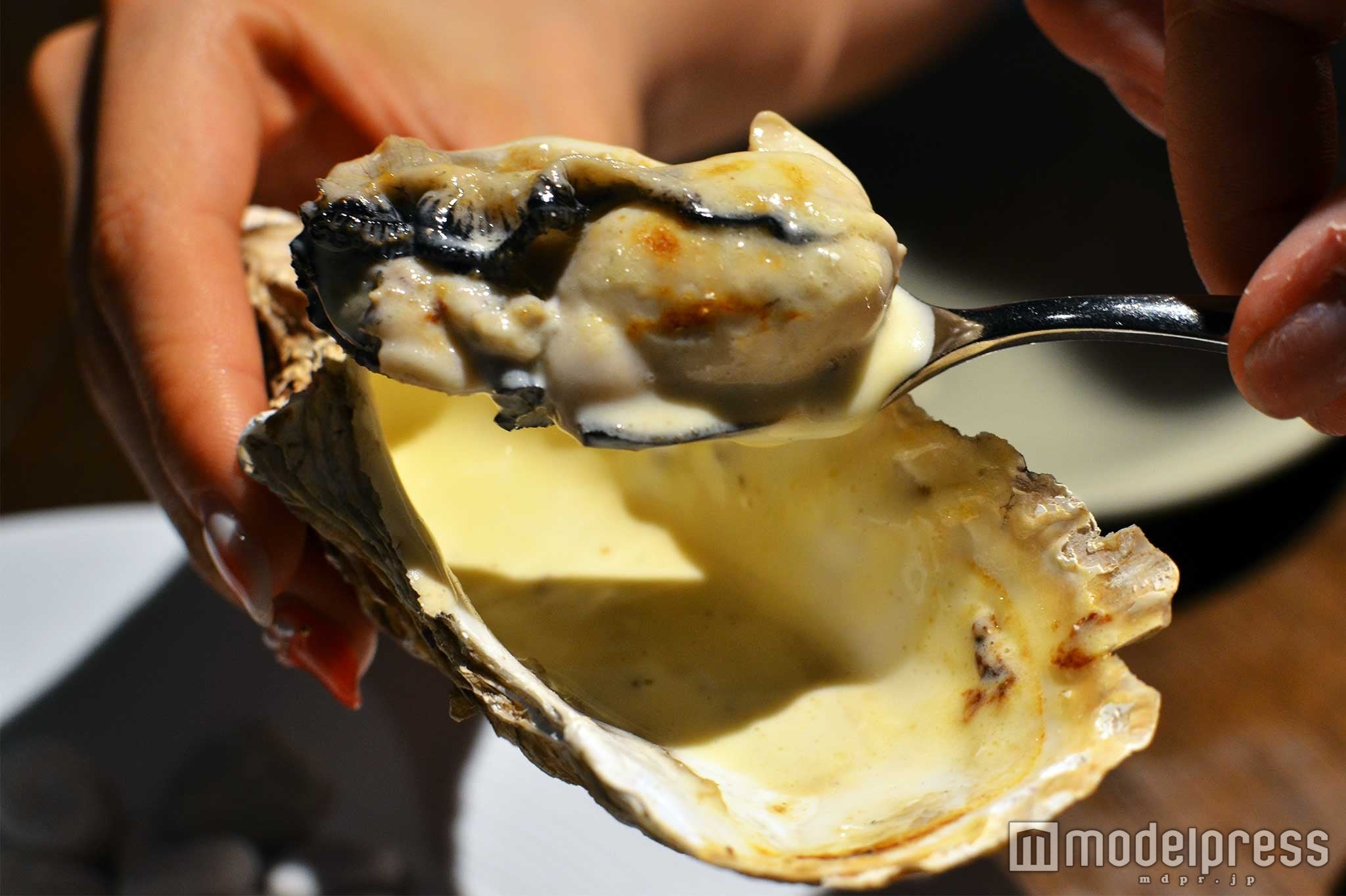 プリプリの牡蠣がたまらない（C）モデルプレス