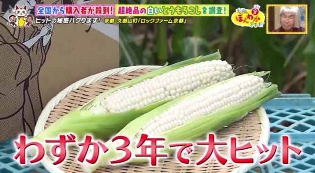【京都・久御山町】全国から購入者が殺到!1日数千本も売れた「白いスイートコーン」とは?