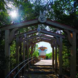 どんどこ森の「どんどこ堂」/ジブリパーク(C)Studio Ghibli