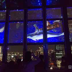 「TOKYO TOWER CITY LIGHT FANTASIA 2015ー2016」／画像提供：東京タワー
