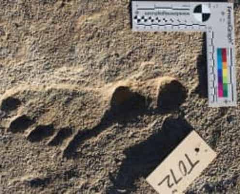 人類は2万年以上前に北米到達、従来説覆す足跡を発見＝米研究チーム