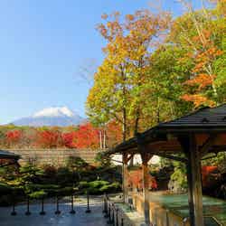 画像提供：山中湖温泉 紅富士の湯
