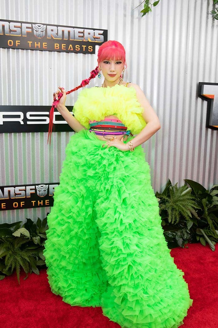 仲里依紗(提供写真)