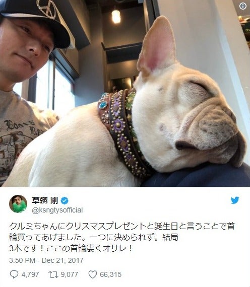 草なぎ剛 愛犬クルミちゃん誕生日 予告 に期待高まる モデルプレス