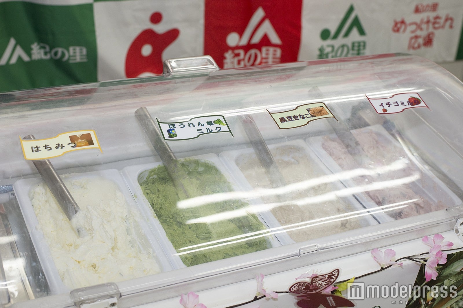 4種のジェラートも！ （C）モデルプレス