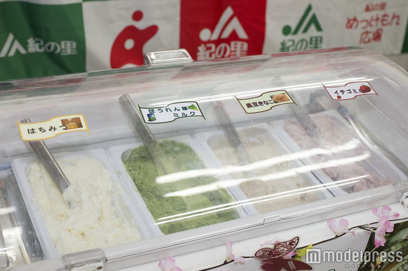 4種のジェラートも! (C)モデルプレス