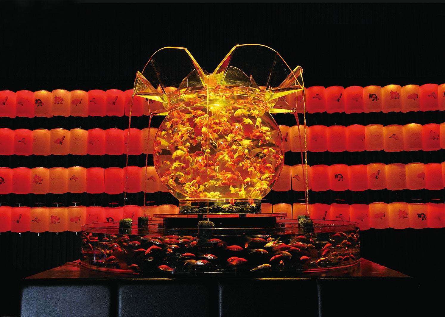 東京会場展示予定作品「花魁」／画像提供：アートアクアリウム実行委員会