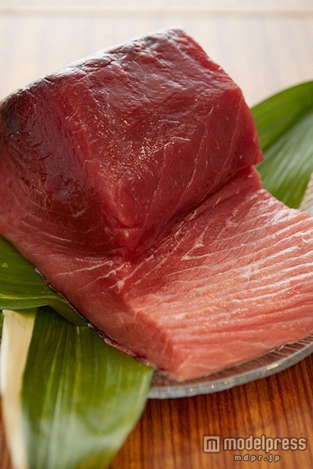 絶品まぐろグルメを求めて生まぐろの町へ「那智勝浦観光協会」