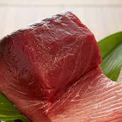 一年中生まぐろが揚がる那智勝浦だが、特に美味しいのは1~3月/画像提供:和歌山県那智勝浦町