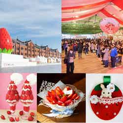 Yokohama Strawberry Festival会場イメージとメニュー一例/提供画像