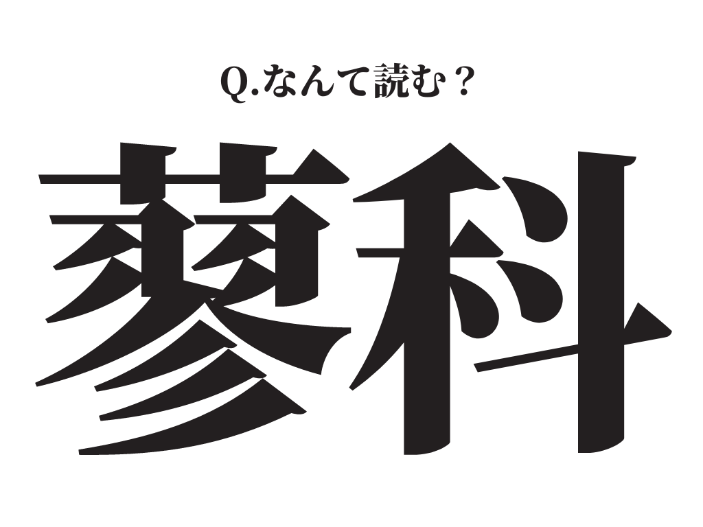 画像: