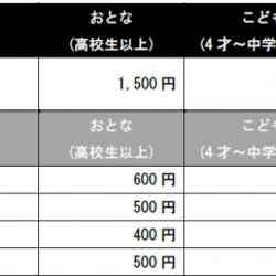 入館料※特別割引は「身体障がい者手帳」「療育手帳」「精神障がい者保健福祉手帳」いずれかを持つ本人および介助者1名に適用