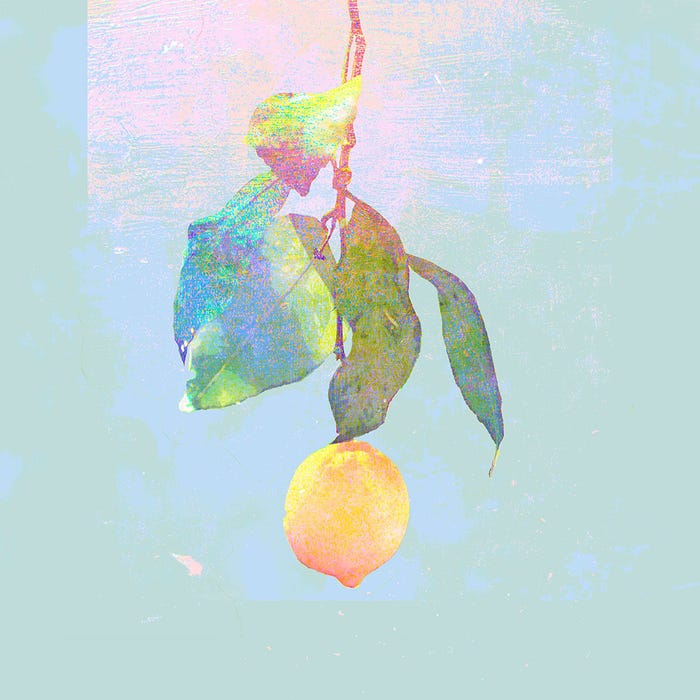 米津玄師「Lemon」ジャケット写真(提供写真)