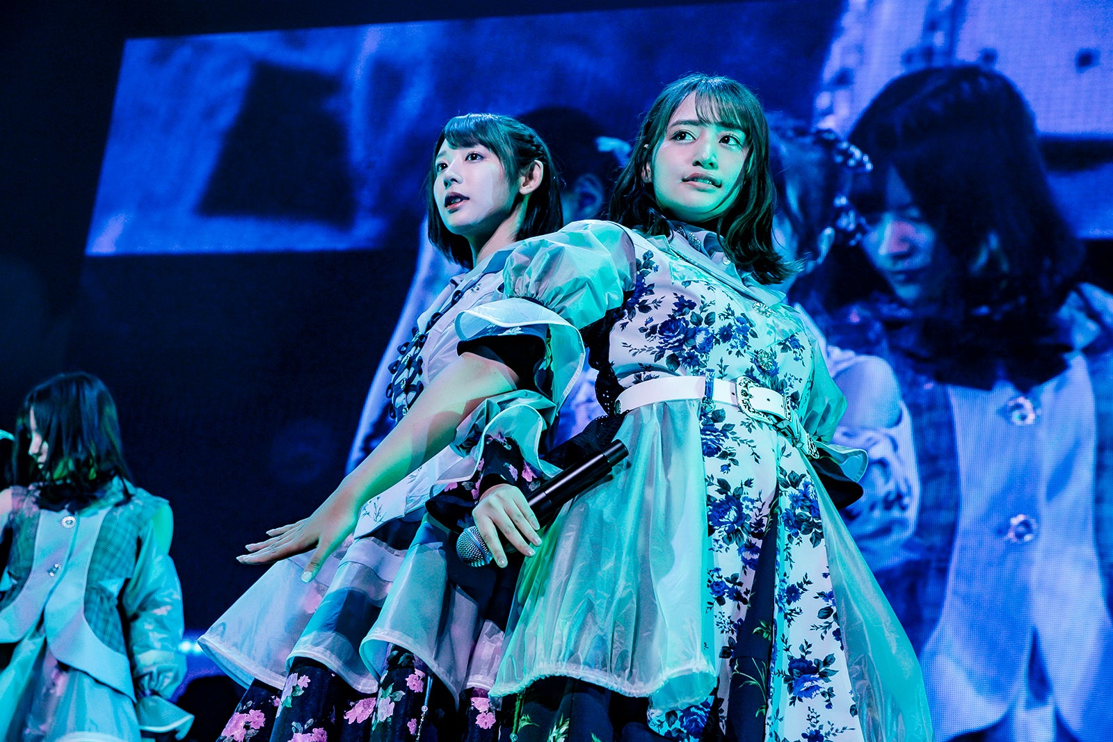 #ババババンビ（C）藤井拓