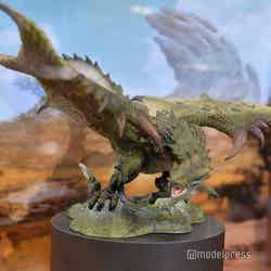 (C)モデルプレス