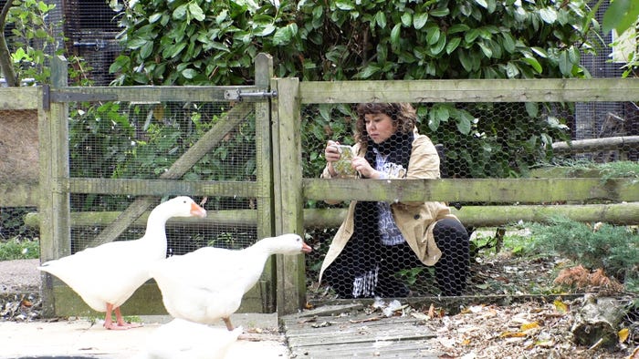 番組の様子(画像提供:カンテレ)