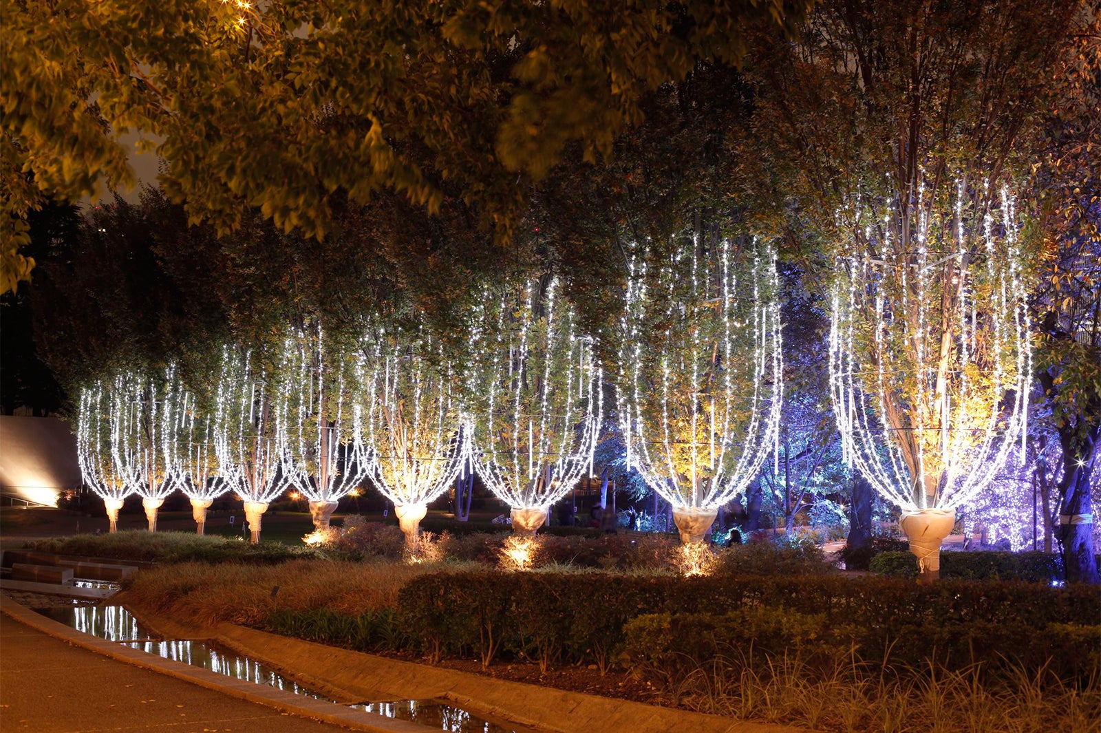 シャンパンイルミネーション／画像提供：東京ミッドタウン