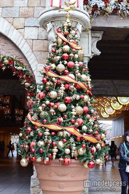 エントランスのツリー