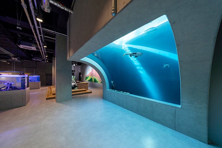 アトア／画像提供：アクアメント