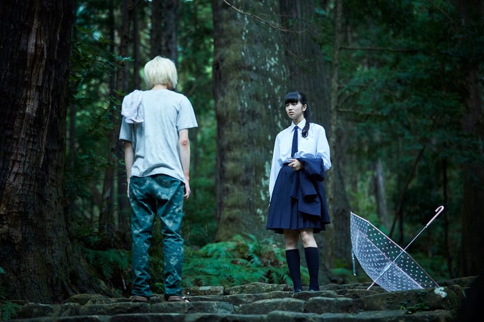 熊野古道(大門坂)(C)ジョージ朝倉/講談社(c)2016「溺れるナイフ」製作委員会