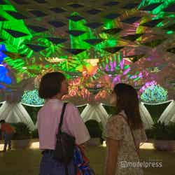 センソリースケープ(C)モデルプレス