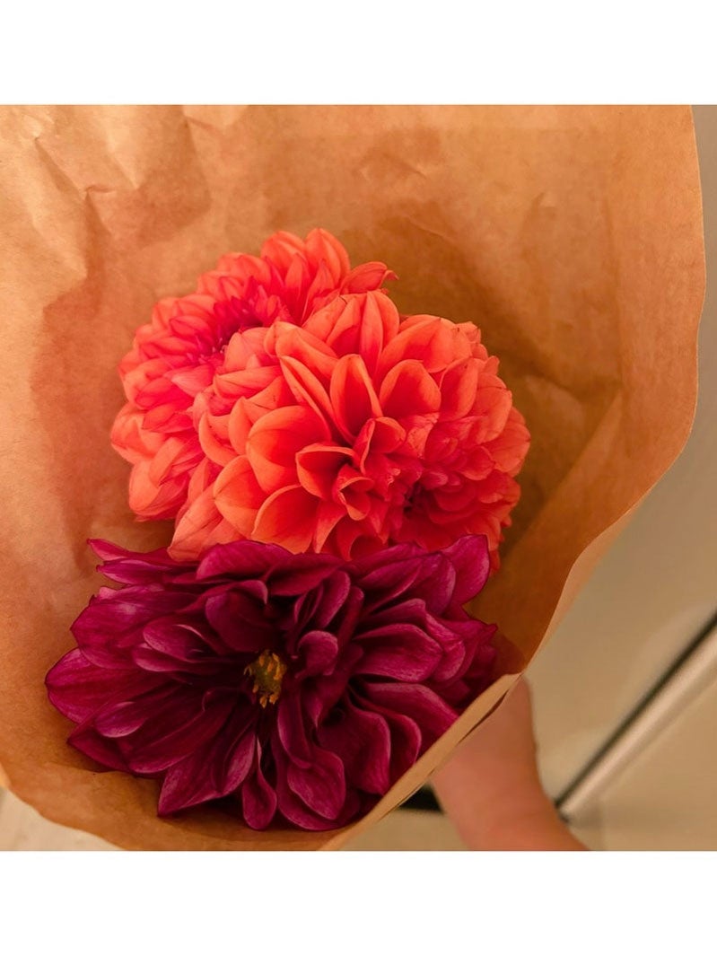 安めぐみオフィシャルブログより