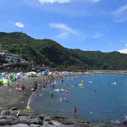 川奈いるか浜海水浴場/提供画像