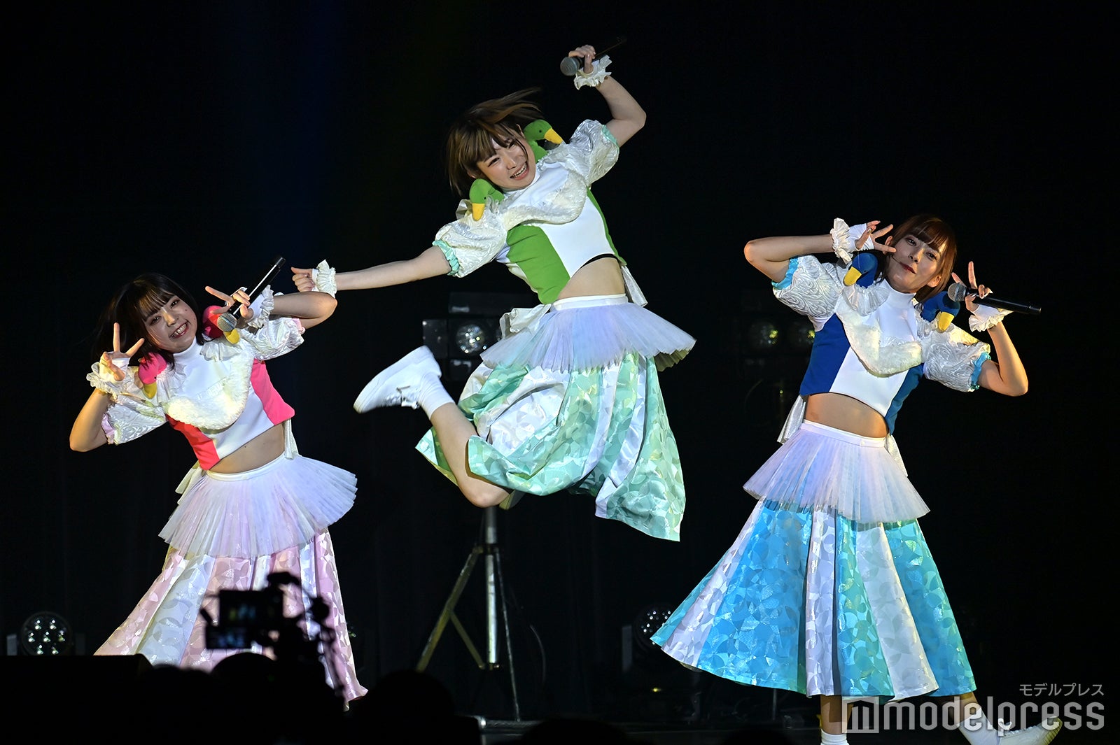 豆柴の大群（C）モデルプレス