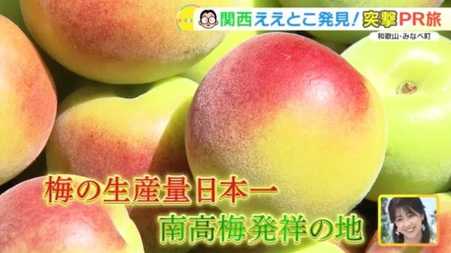 クエタマ鍋って知ってる？和歌山県みなべ町の「ええとこ」発見