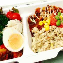 「太陽のマルシェ」はこだわりのフードが楽しみのひとつ/画像提供:太陽のマルシェ実行委員会