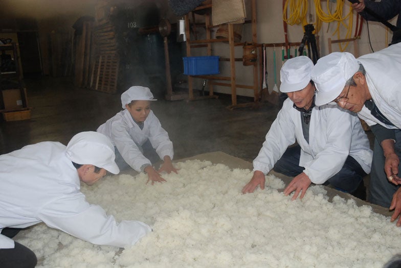 日本酒造りに奮闘する今泉宏美