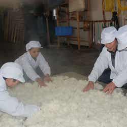 日本酒造りに奮闘する今泉宏美