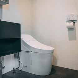 THE NATURE 八ヶ岳/提供画像