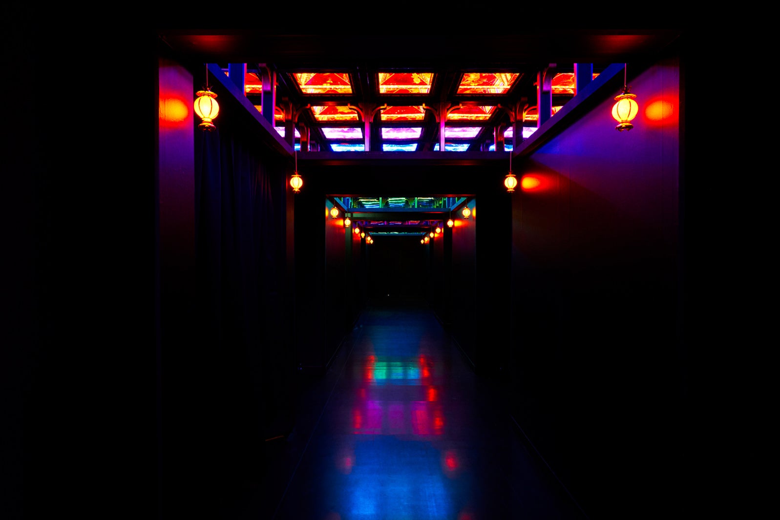 天井金魚／画像提供：アートアクアリウム実行委員会